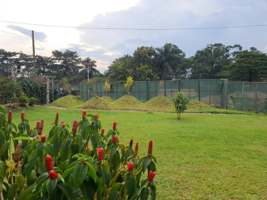 Spacious With Garden Close To Acacia Mall Kololo Holiday home *
